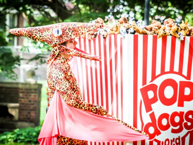 PUBLIC ART – POPDOGS